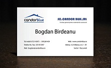 Creare carti de vizita - Condor Blue